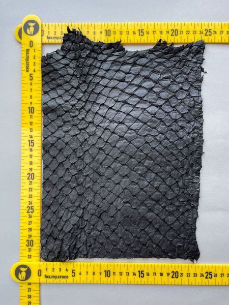 Лоскут піраруку, чорний 000002338 фото