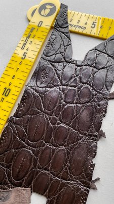 Лоскут шкіри крокодила, шоколадний 000002066 фото