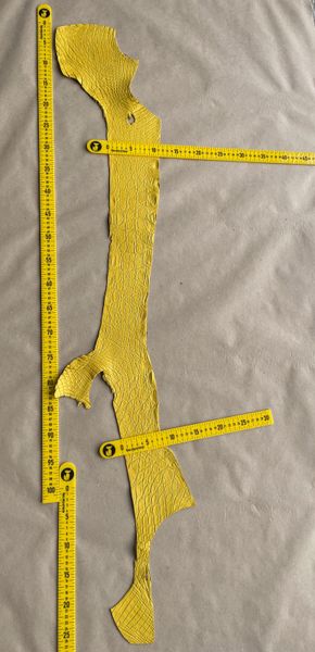 Kaiman flank, yellow color