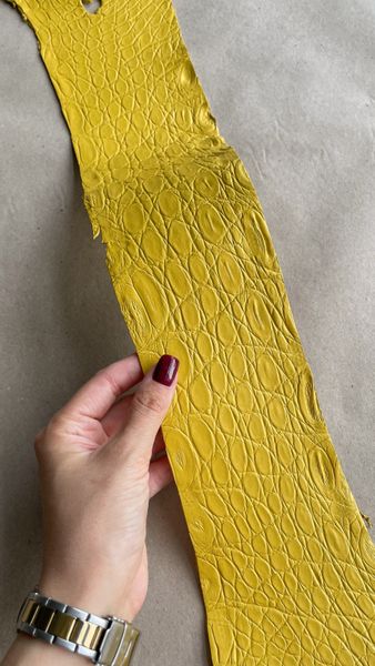 Kaiman flank, yellow color