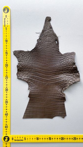 Crocodiles' Half-skin, khaki