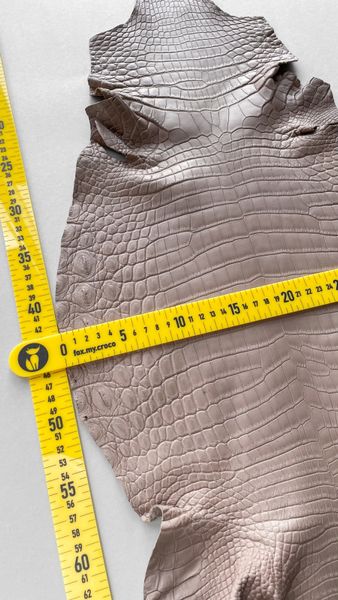 Шкура нільського крокодила таупе, 33 см 000000096 фото