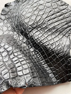 Лоскут кожи крокодила, черный 000000934 фото