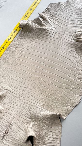 Шкура нільського крокодила холодний бежевий, 33 см 000000097 фото