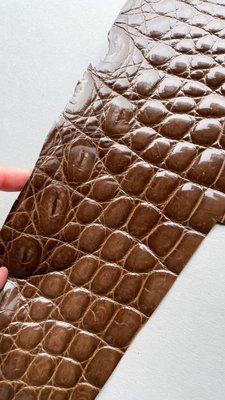 Лоскут шкіри крокодила, коричневий 000000679 фото