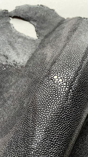 Круглий скат, чорний 000000873 фото