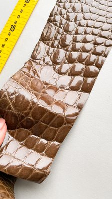 Лоскут шкіри крокодила, коричневий 000000694 фото