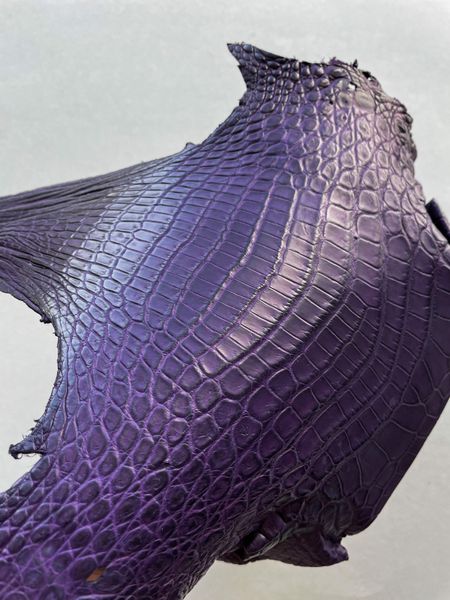 Crocodiles' neck, violet color