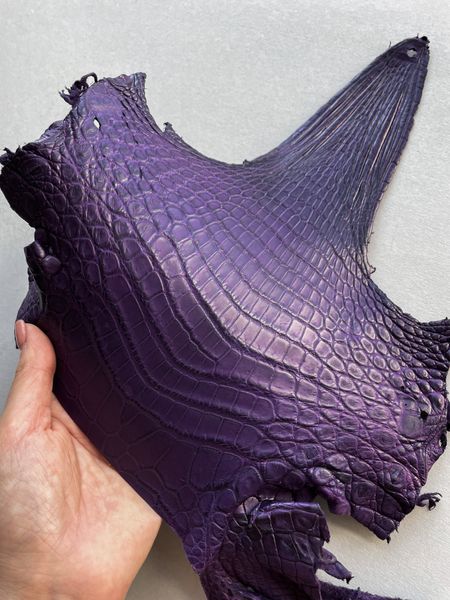 Crocodiles' neck, violet color