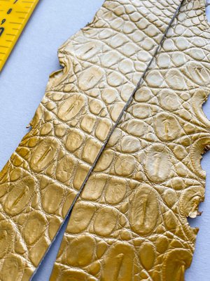Лоскут кожи крокодила, золотой 000000519 фото