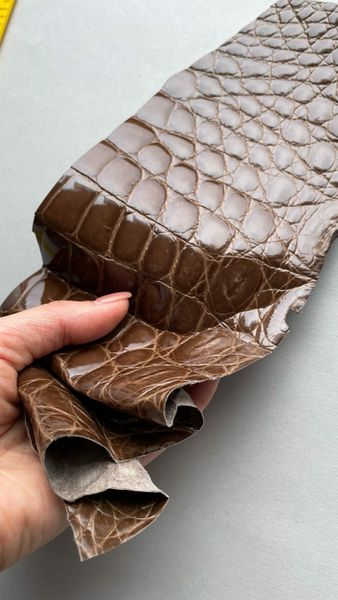 Crocodile leather piece, brown