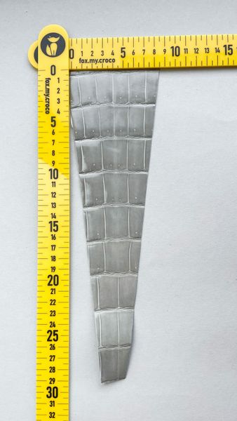Лоскут шкіри крокодила, сірий 000000728 фото