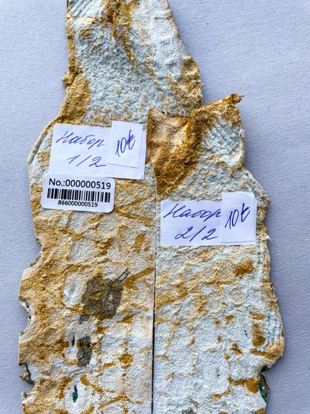 Лоскут шкіри крокодила, золотий 000000519 фото