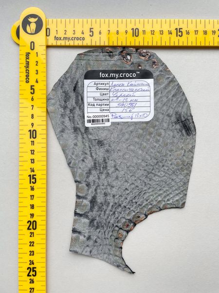 Лоскут шкіри крокодила, чорний 000000945 фото
