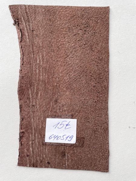 Лоскут шкіри акули, коричневий 000002327 фото