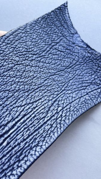 Shark leather piece, blue