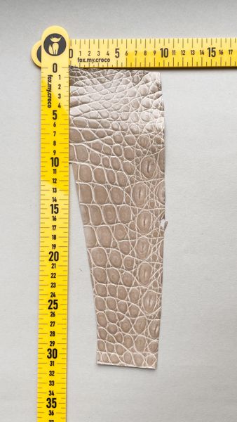 Лоскут шкіри крокодила 000000708 фото