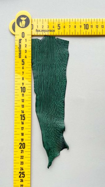 Shark leather piece, green