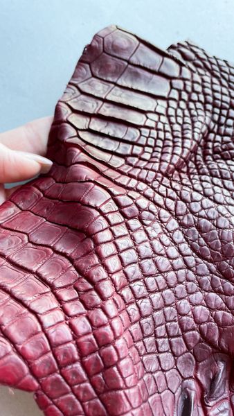 Crocodile leather piece, cherry